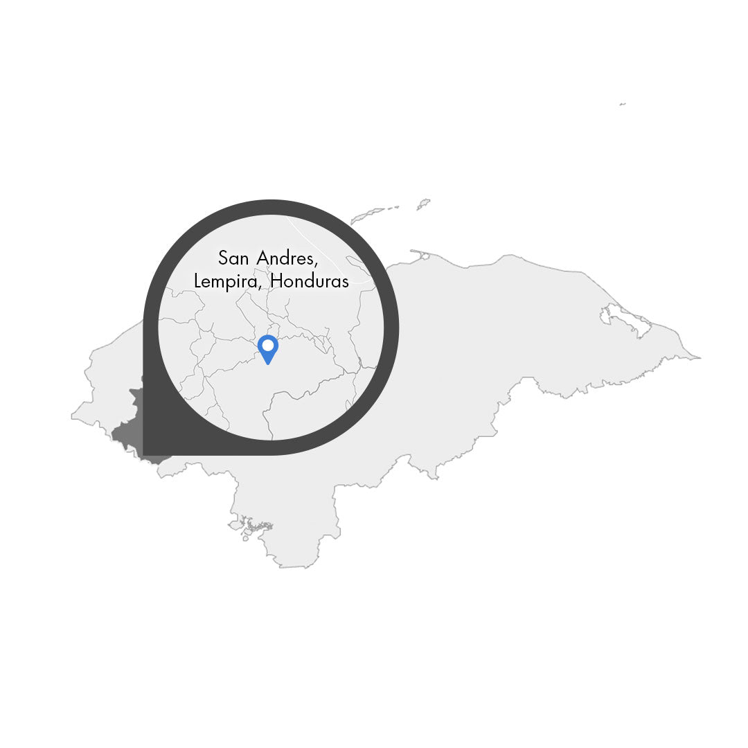 Honduras Lempira San Andres – Kaffeeplantage Specialty Coffee Herkunftsfoto