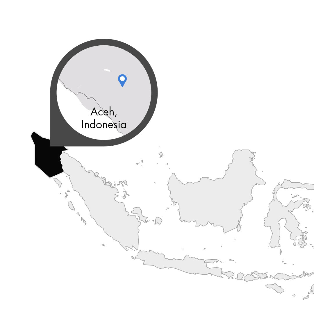 Indonesien Aceh – Kaffeeplantage Specialty Coffee Herkunftsfoto