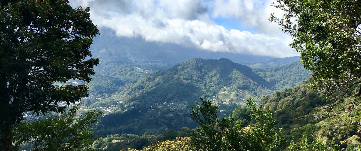 Panama Finca Hortigal Estate – Kaffeebohnen Aufbereitung Herkunftsfoto Specialty Coffee