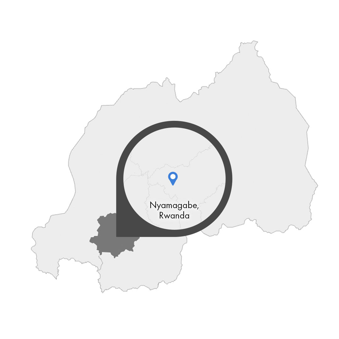 Ruanda Nyamagabe – Kaffeeplantage Specialty Coffee Herkunftsfoto