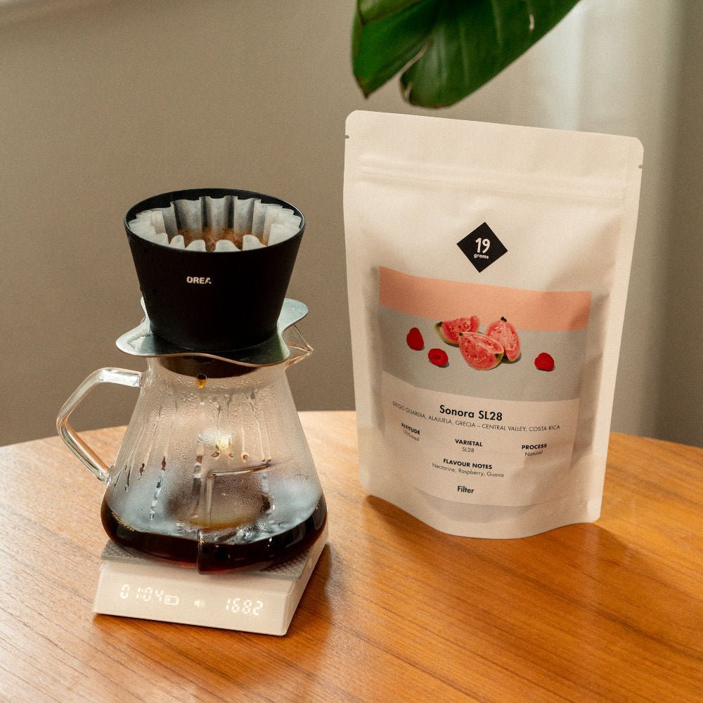 19grams Sonora SL28 Filterkaffee aus Costa Rica – Kaffeebeutel mit frisch gebrühtem Filterkaffee in Tasse