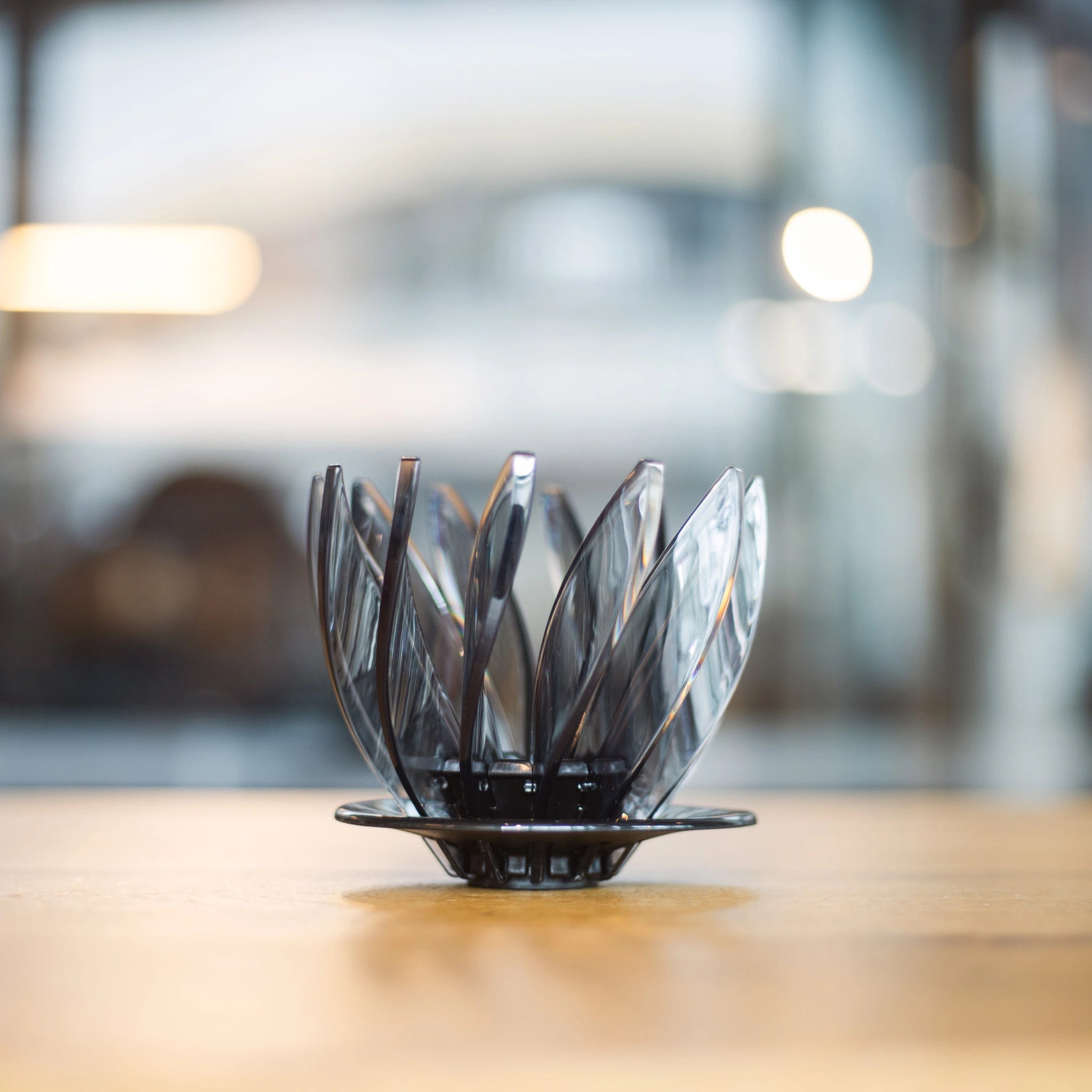 Hario V60 Suiren mit Arundhati Shenoy – Specialty Coffee Filter-Brew bei 19grams.live Roasters Berlin