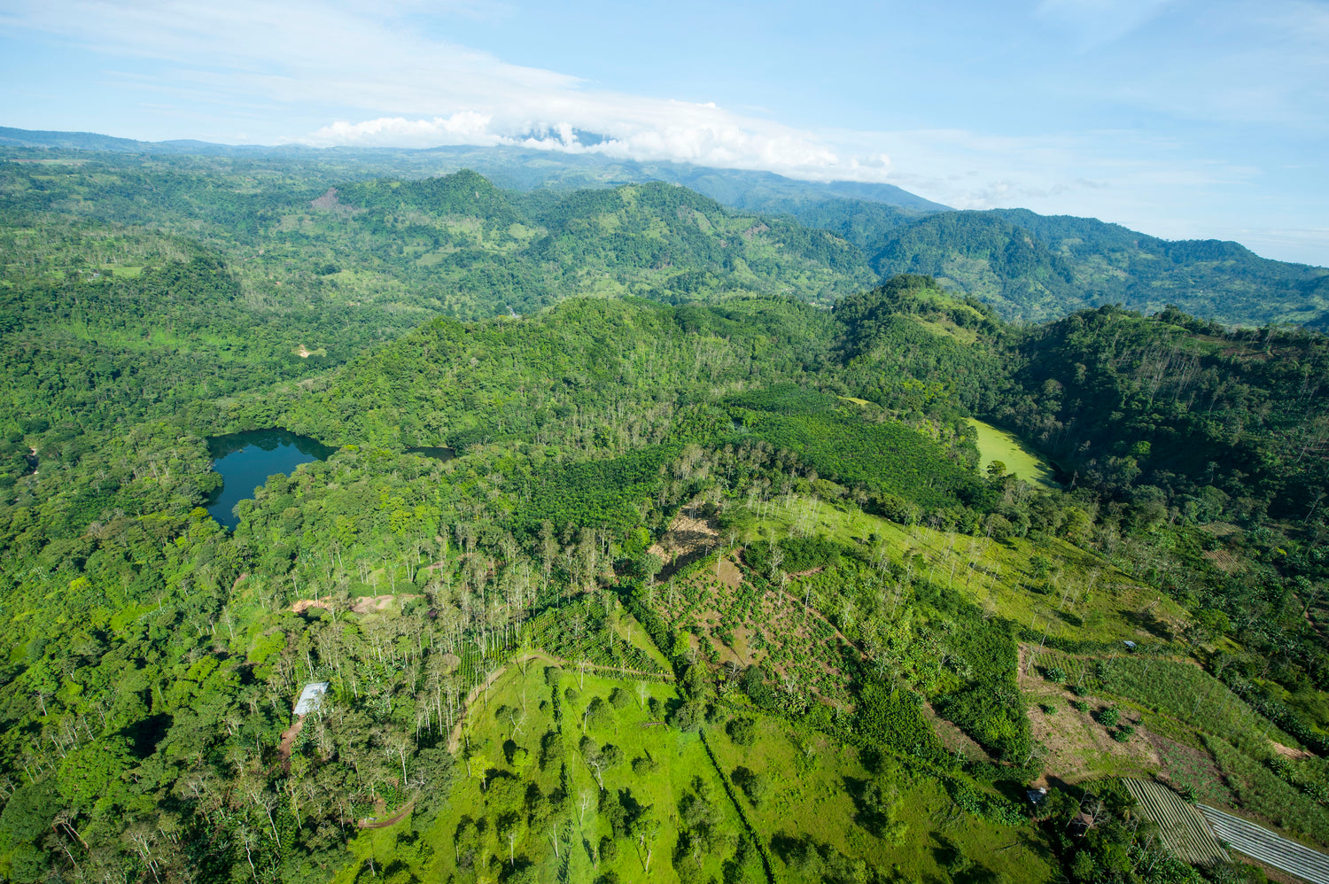 19grams Territorio Jade Honduras – Luftaufnahme der Kaffeeanbauregion, Panoramabild der Specialty Coffee Partnerregion von 19grams.live Roasters Berlin