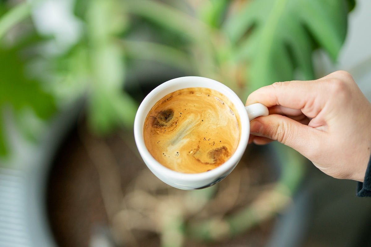 Café Crème (Schümli) – der Kaffee aus der Schweiz erklärt