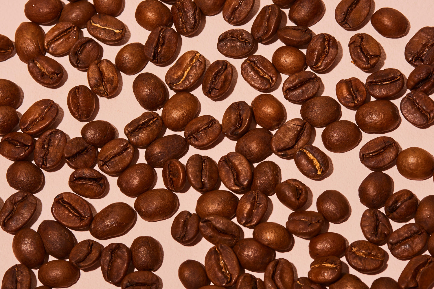19grams.live Beans