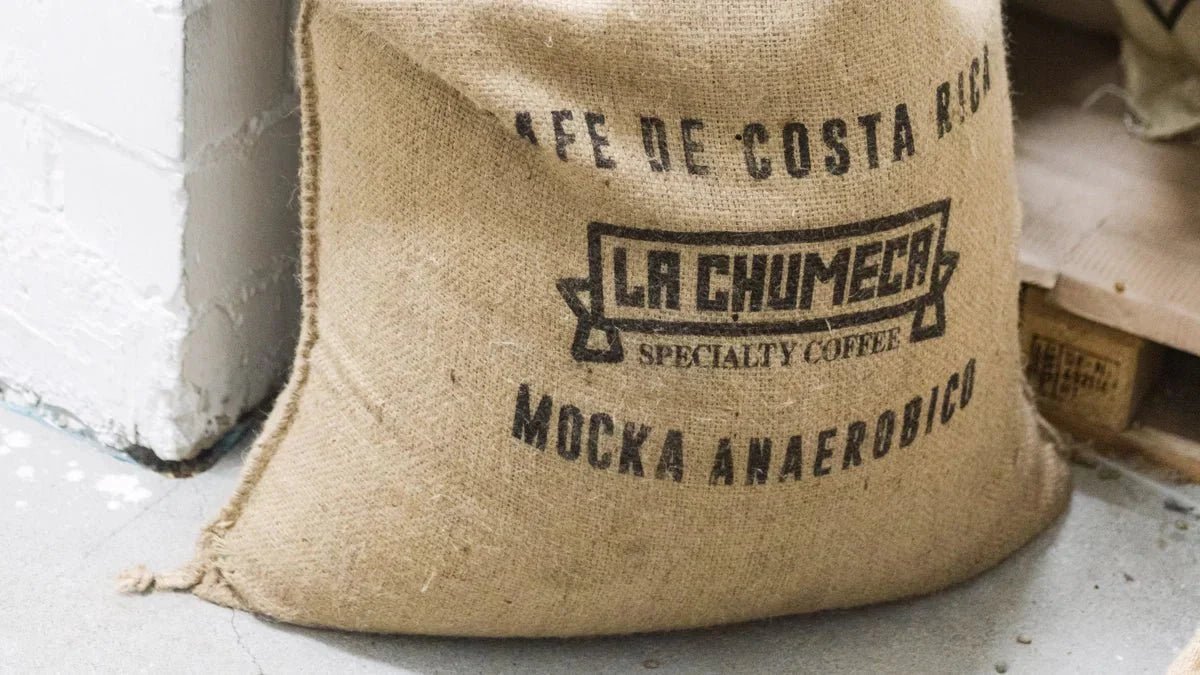 Mokka-Varietät – die äthiopische Kaffeesorte mit langer Geschichte