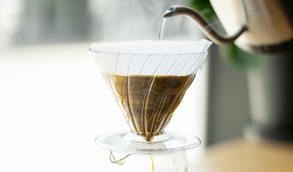 19grams.live_V60_brewing_Fflter