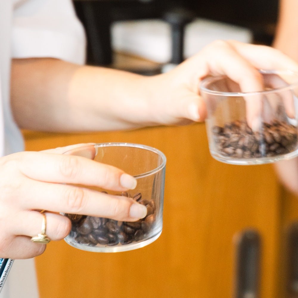 Arabica, Robusta, Liberica – was steckt eigentlich in deiner Tasse?