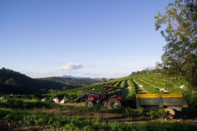 19grams.live partner Fazenda Santuario Sol in Brazil