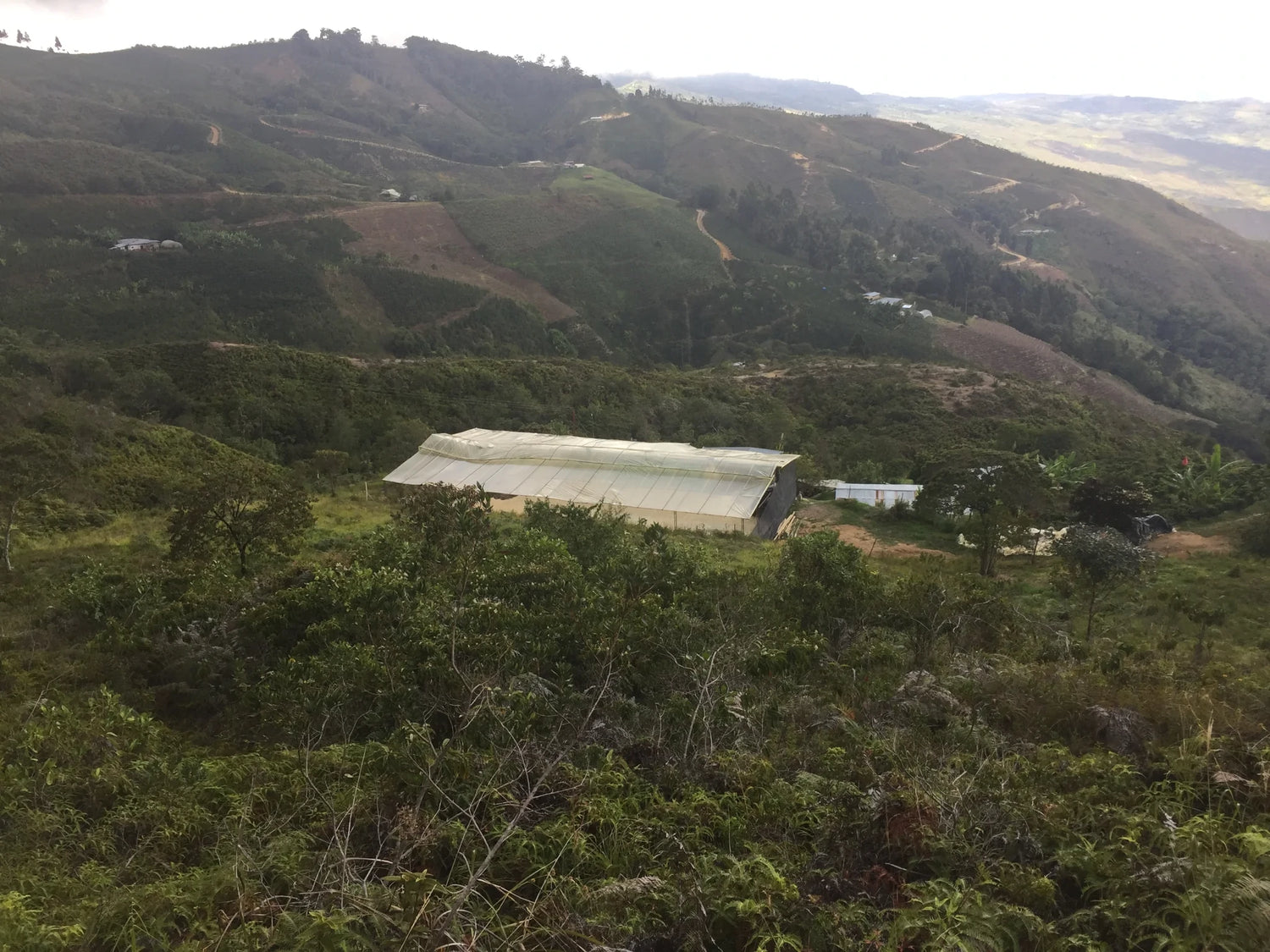 10grams_Finca_Morelia_Colombia_Panorama