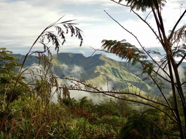 19grams.live_Papua_New_Guinea_ Korofeigu