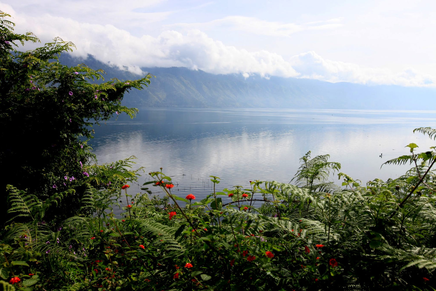 Indonesien | Asien