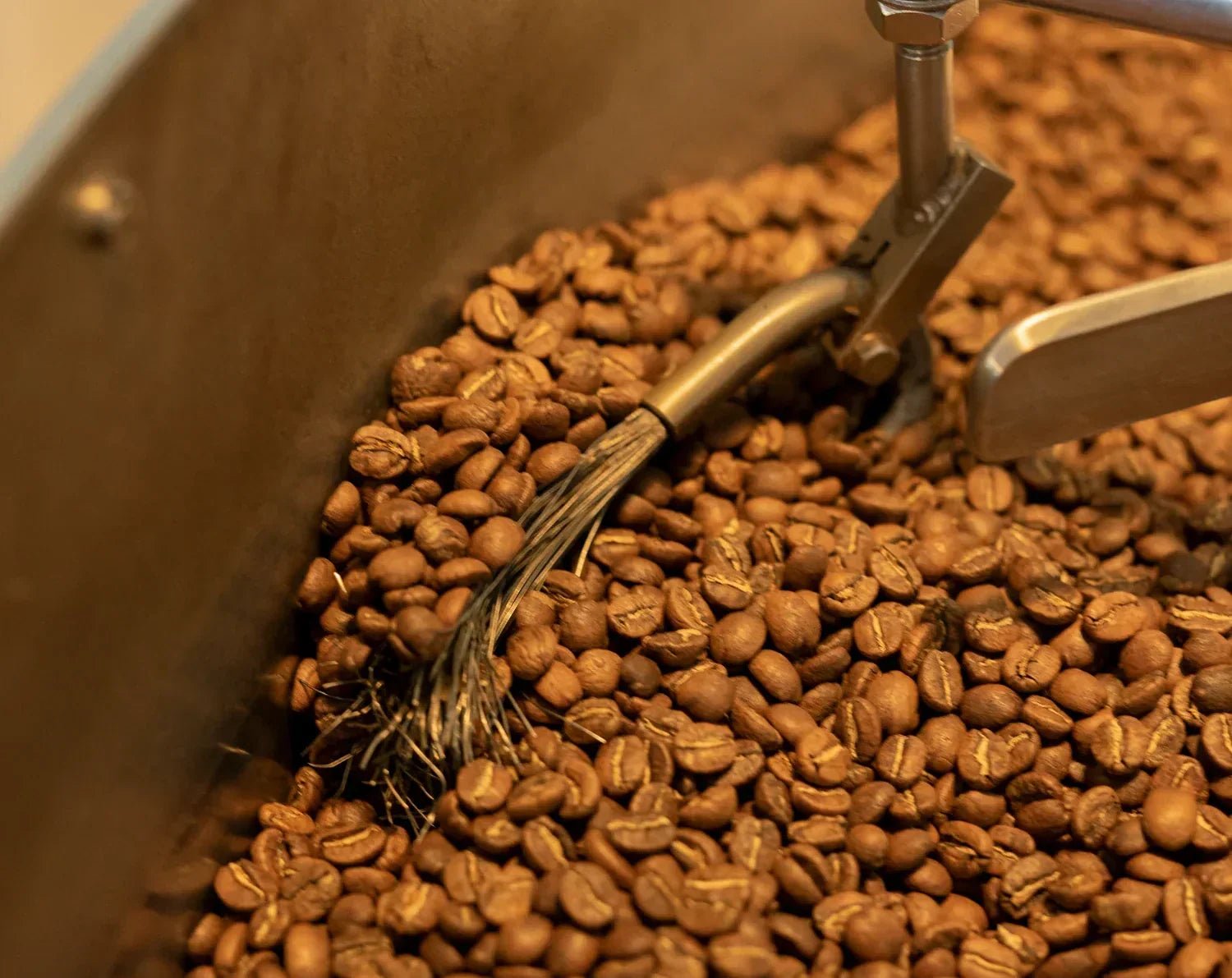 19grams.live_beans_roastery