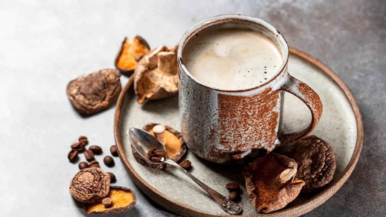 Mushroom Kaffee – was steckt hinter dem Pilzkaffee-Trend?