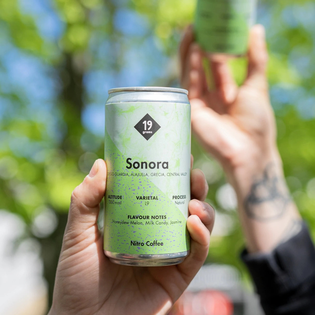 19grams Sonora Nitro Coffee Dose in der Hand – Nitro Cold Brew Sommerkaffee von 19grams.live Roasters Berlin