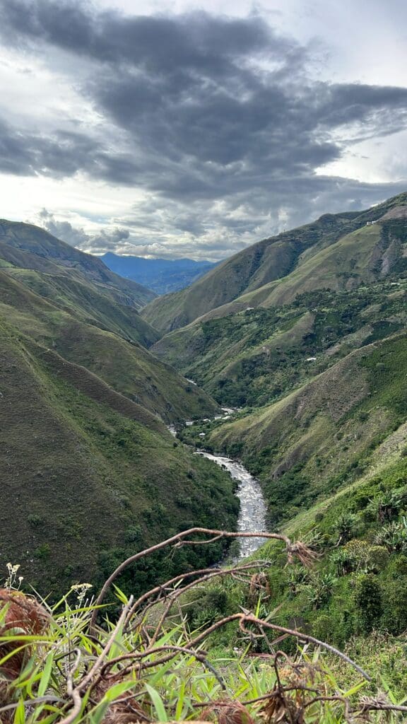 Resguardo Aponte in Nariño Kolumbien – Anbaugebiet der indigenen Inga-Gemeinschaft, Honey Caturra für 19grams Specialty Coffee Berlin