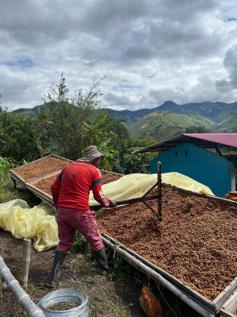 Kaffeebauer der Inga-Gemeinschaft im Resguardo Aponte Nariño – Honey-Aufbereitung auf der eigenen Finca für 19grams Specialty Coffee Kolumbien