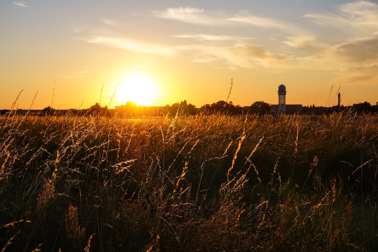 Berlin Summer