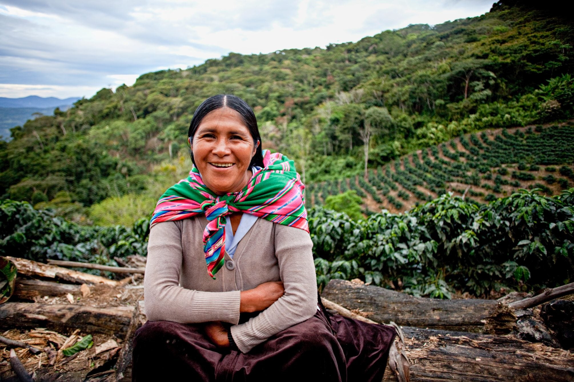 Bolivien Ayni – Kaffeepflanzung Detailaufnahme Herkunftsfoto Specialty Coffee