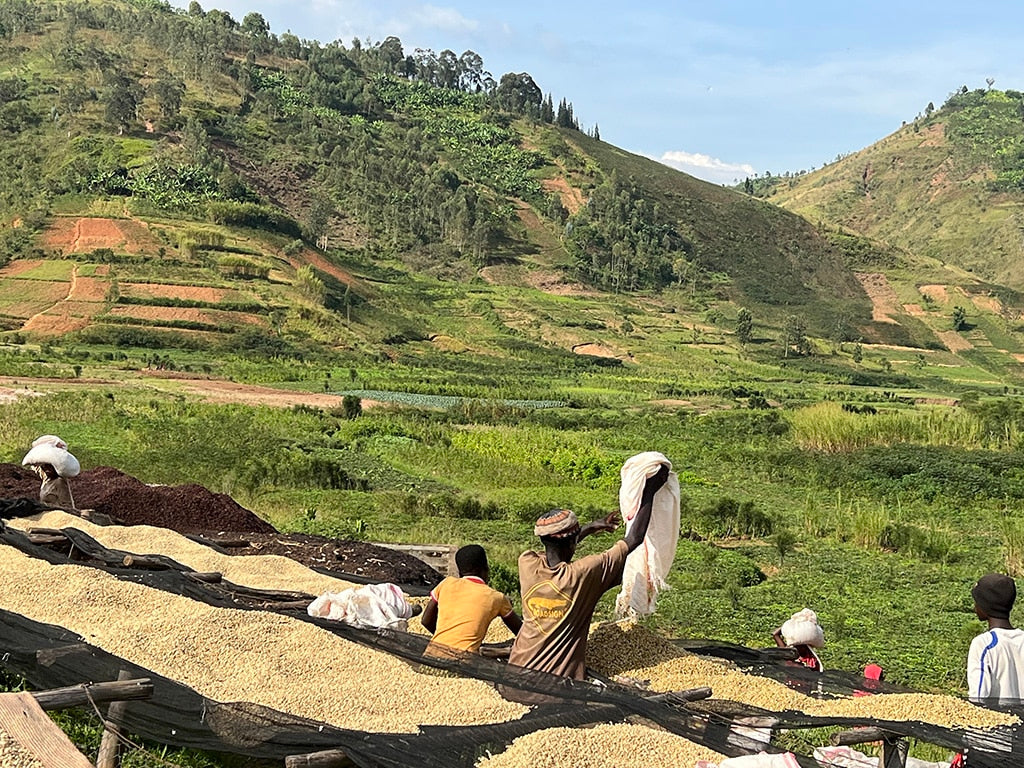 Burundi Shikankoni Kaffeefarm – Farmfoto Herkunftsfoto Specialty Coffee