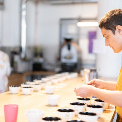 19grams Cup of Excellence Cupping-Veranstaltung am Alexanderplatz Berlin – öffentliche Kaffeeverkostung von 19grams.live Roasters