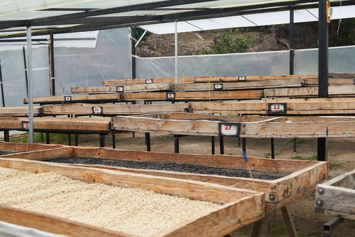 Ecuador Loja Bed
