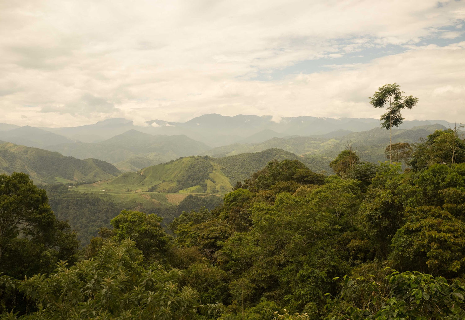 Ecuador Loja Birdview