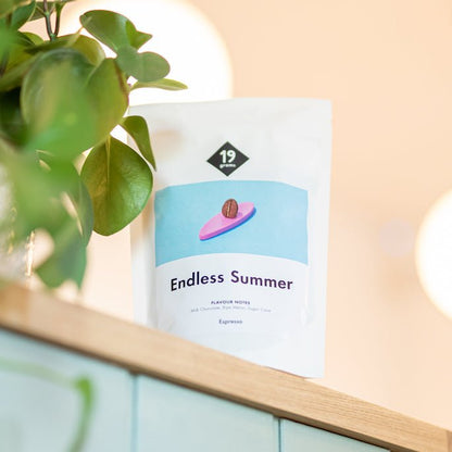 19grams Endless Summer auf dem Regal neben einer Zimmerpflanze
