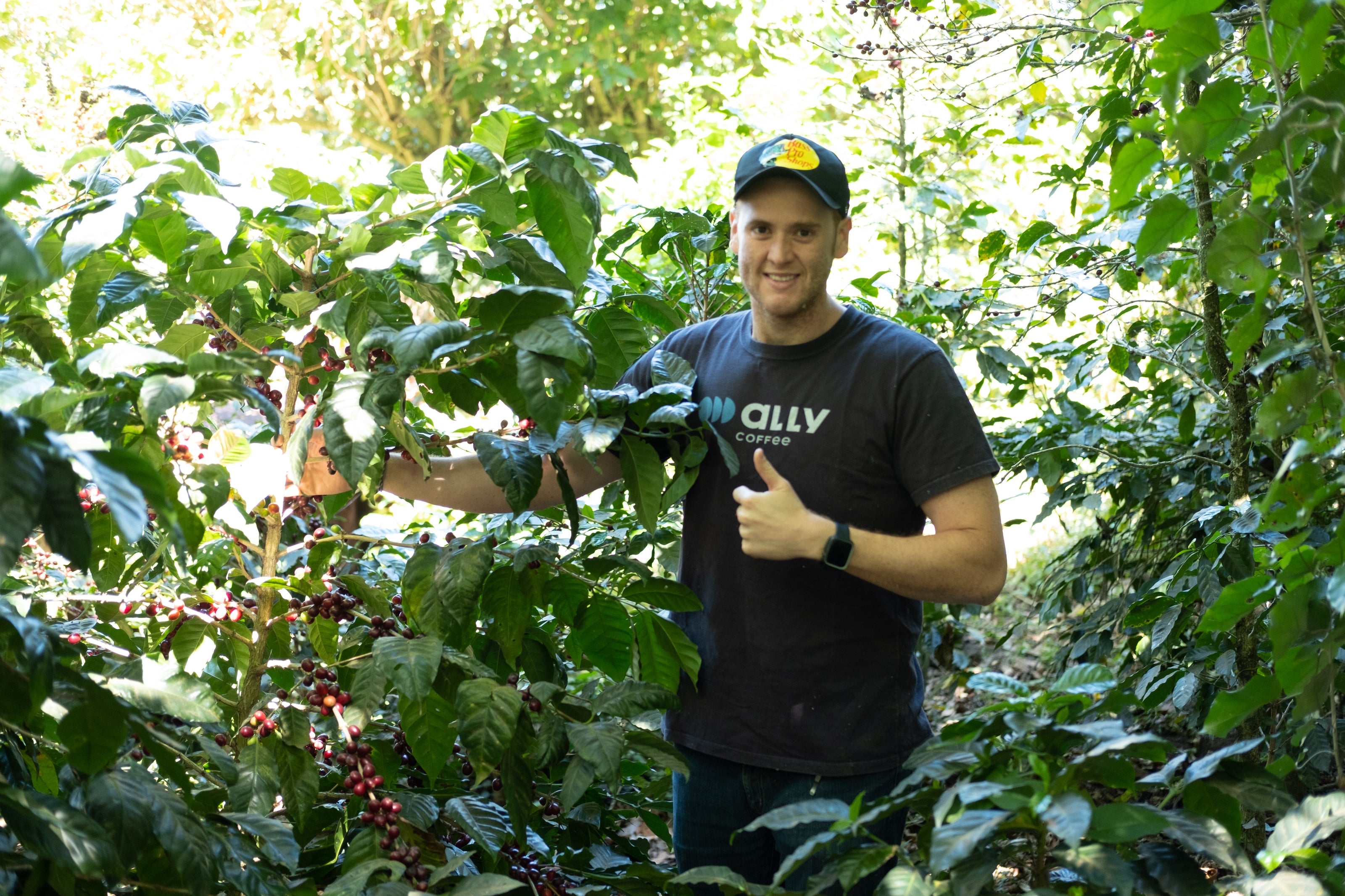 El Salvador Finca Atzumpa – Kaffeefarm Panorama Herkunftsfoto Specialty Coffee