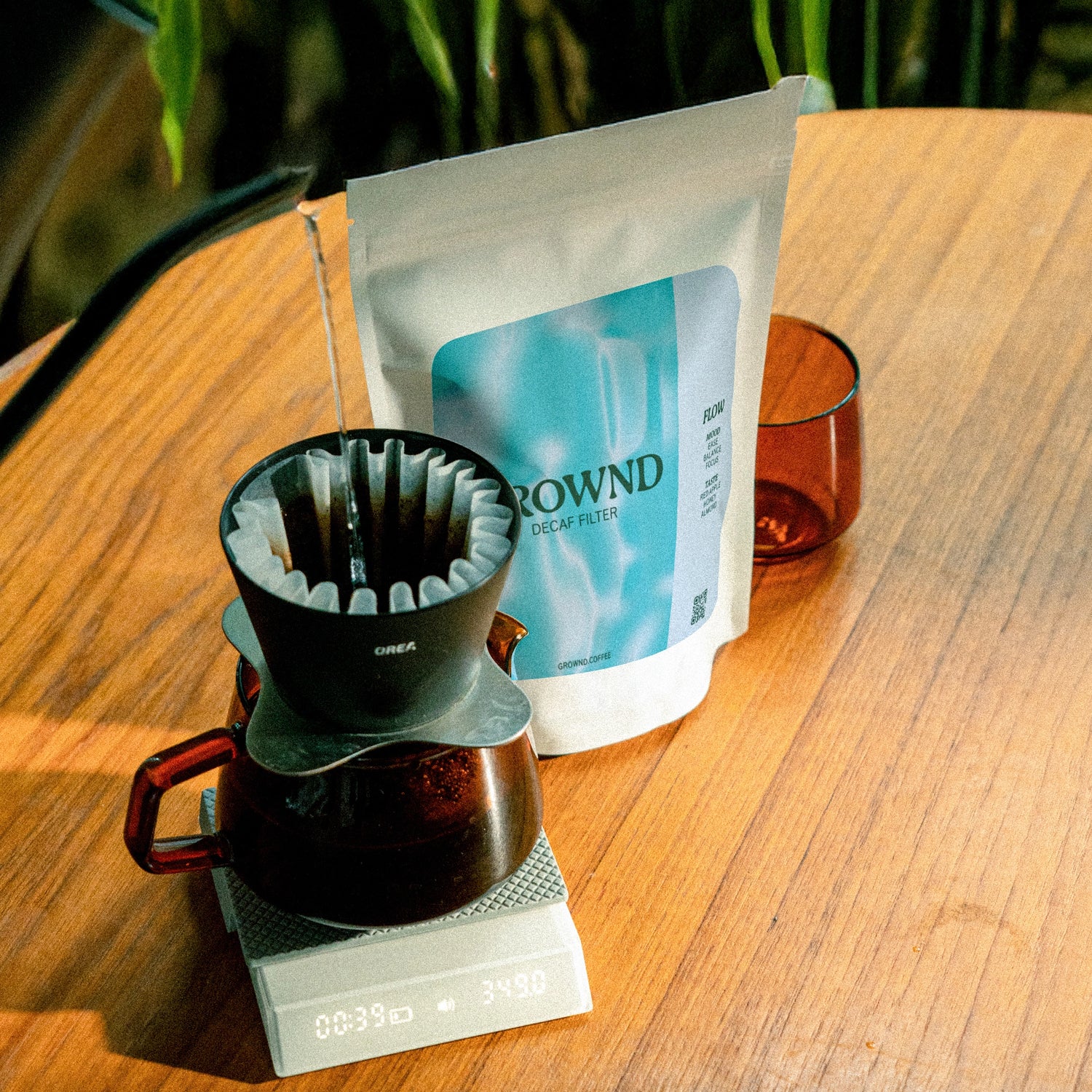 GROWND Decaf Flow – Moodshot Variante entkoffeinierter Kaffee Specialty Coffee