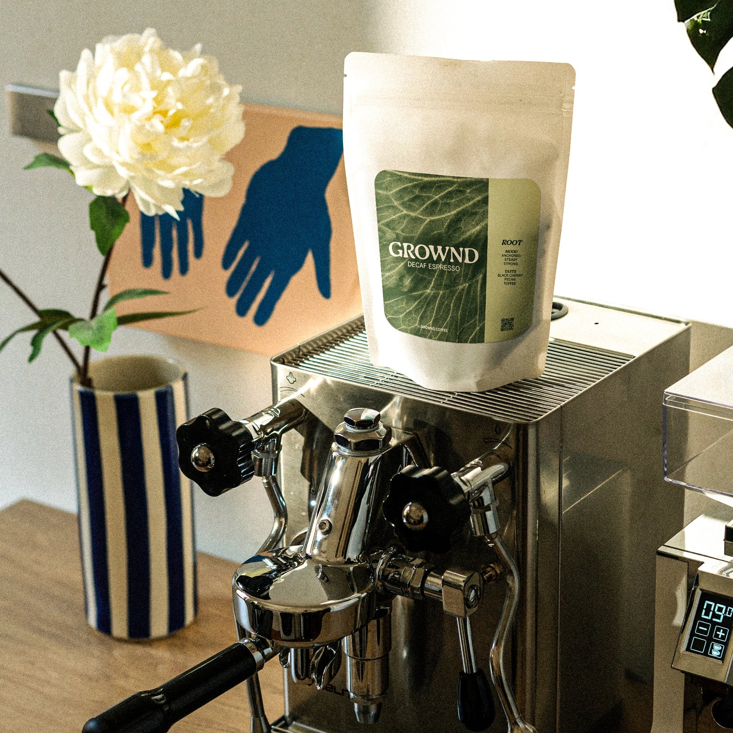 GROWND Decaf Root – Moodshot entkoffeinierter Kaffee Specialty Coffee