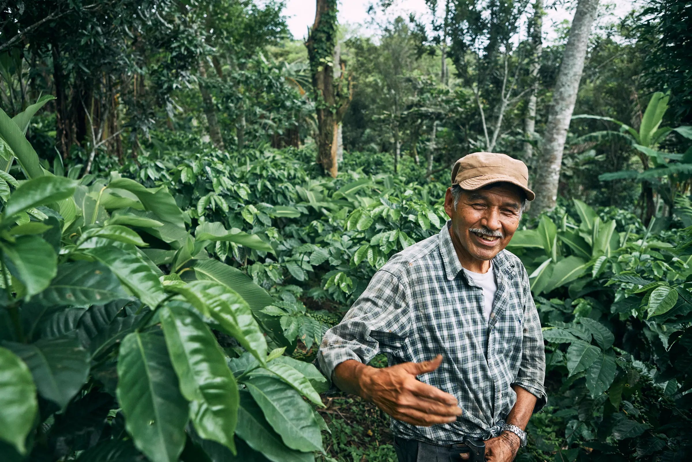 Guatemala Huehuetenango – Kaffeekommunität Herkunftsfoto Specialty Coffee