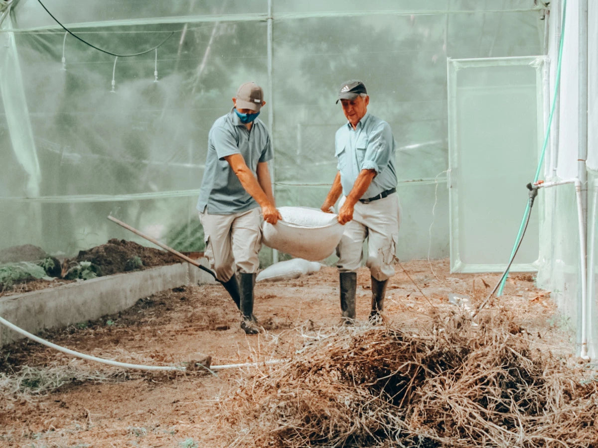 19grams Finca Los Osos Kaffeefarmer bei der Kaffeeverarbeitung in Kolumbien – Partnerfarm von 19grams.live Roasters Berlin