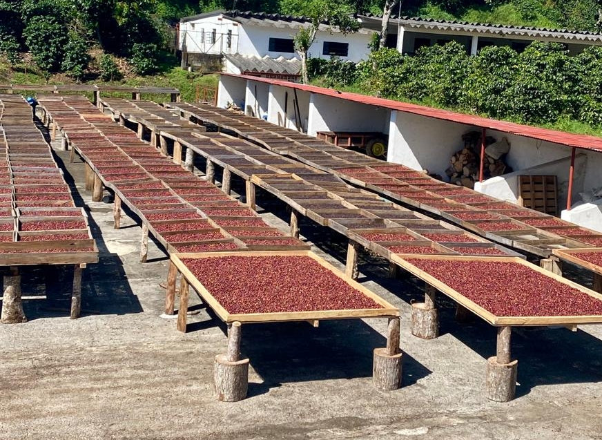 Mexiko Muxbal El Caracol – Kaffeebauer Ernte Herkunftsfoto Specialty Coffee bei 19grams