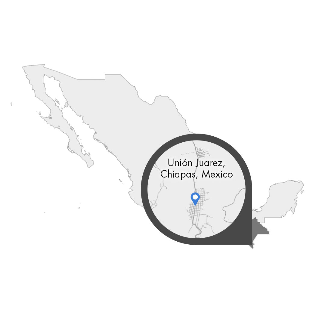 Mexiko Chiapas Union Juarez – Kaffeeplantage Specialty Coffee Herkunftsfoto