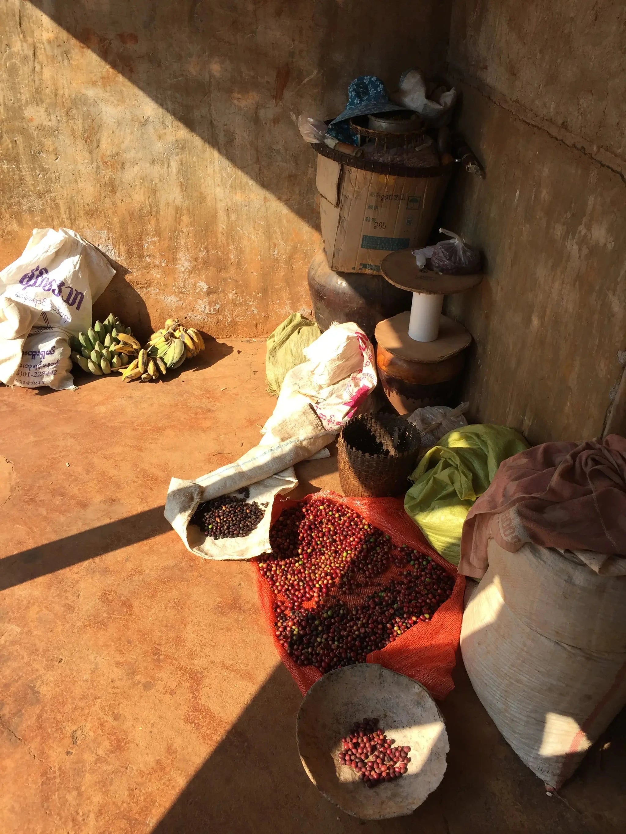 19grams Partnerfarm Ywangan in Myanmar – Säcke mit Kaffeekirschen auf dem Farmgelände, Kaffeeherkunft für 19grams Specialty Coffee Berlin