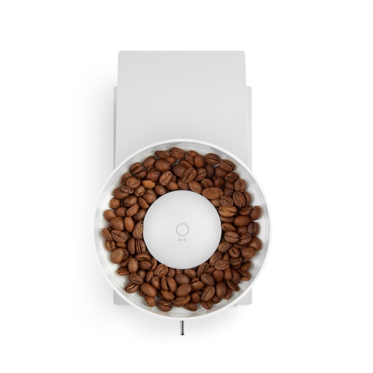 Fellow Opus Grinder elektrische Kaffeemühle matt-weiß, Ansicht von oben auf Bohnenbehälter – Kaffee-Zubehör bei 19grams Berlin