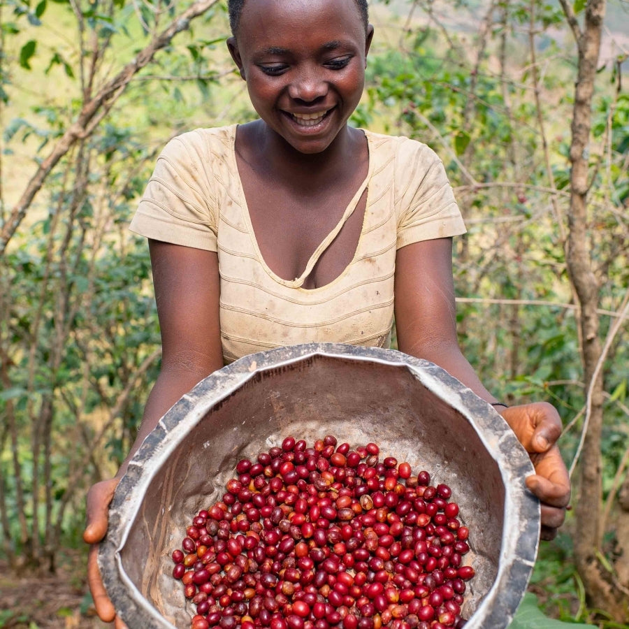 Ruanda Ingagi – Kaffeefarm Specialty Coffee Herkunftsfoto