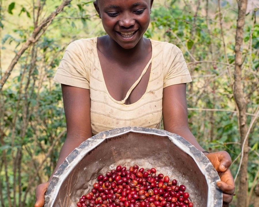 Ruanda Ingagi – Kaffeeplantage Herkunftsfoto Specialty Coffee