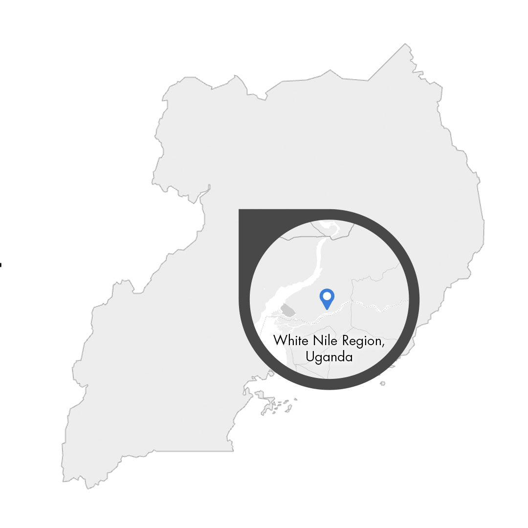 Uganda White Nile Region – Kaffeeplantage Specialty Coffee Herkunftsfoto