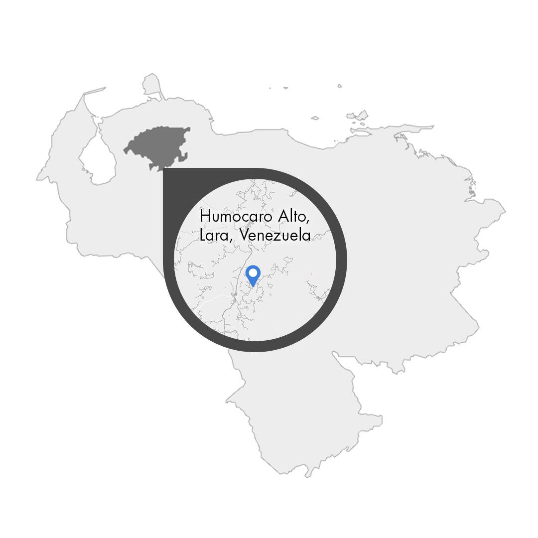 Venezuela Lara Humocaro Alto – Kaffeeplantage Specialty Coffee Herkunftsfoto