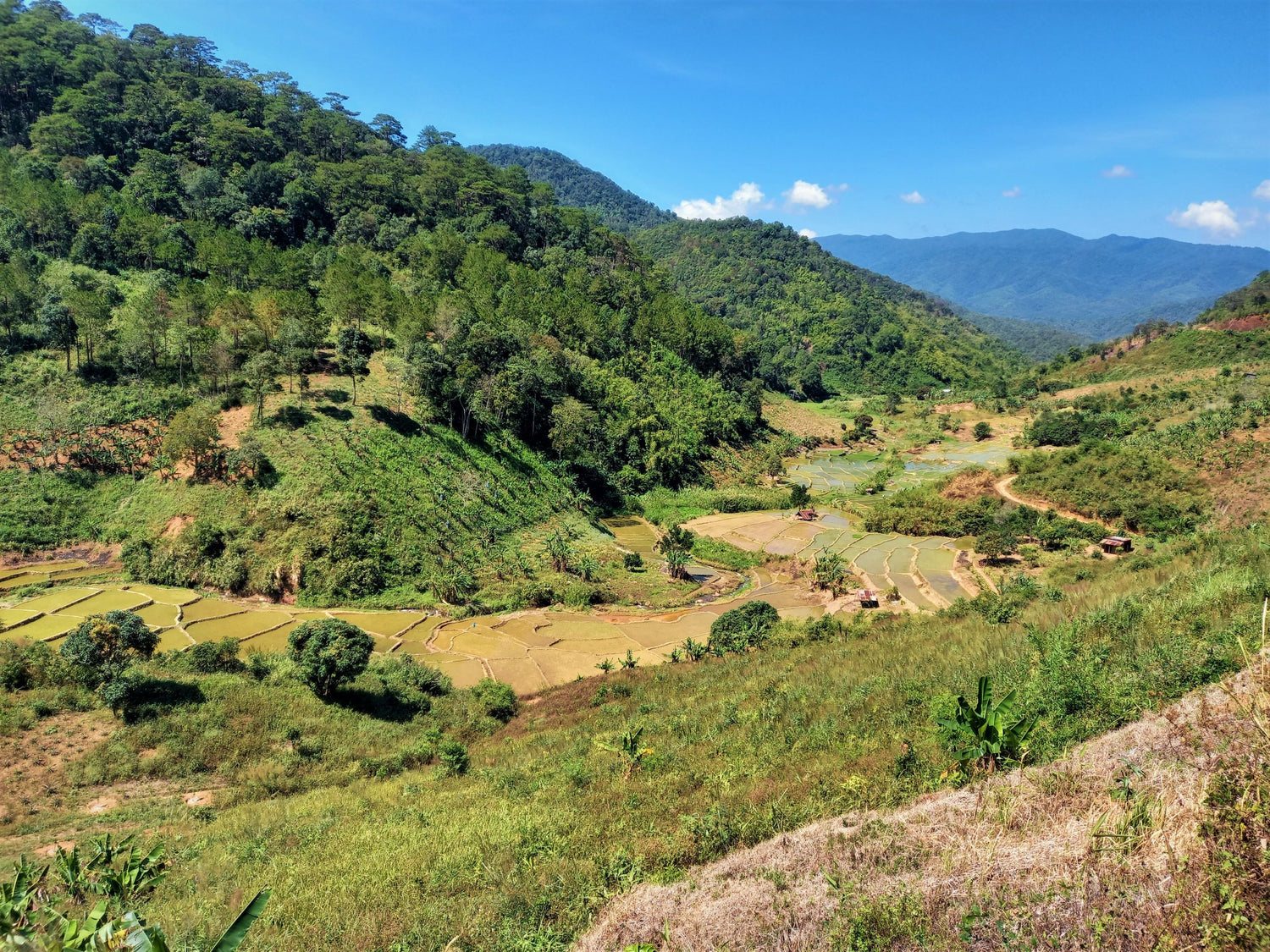 Vietnam Dung Kno – Kaffeefarm Panorama mit Berglandschaft und Reisfeldern Herkunftsfoto bei 19grams