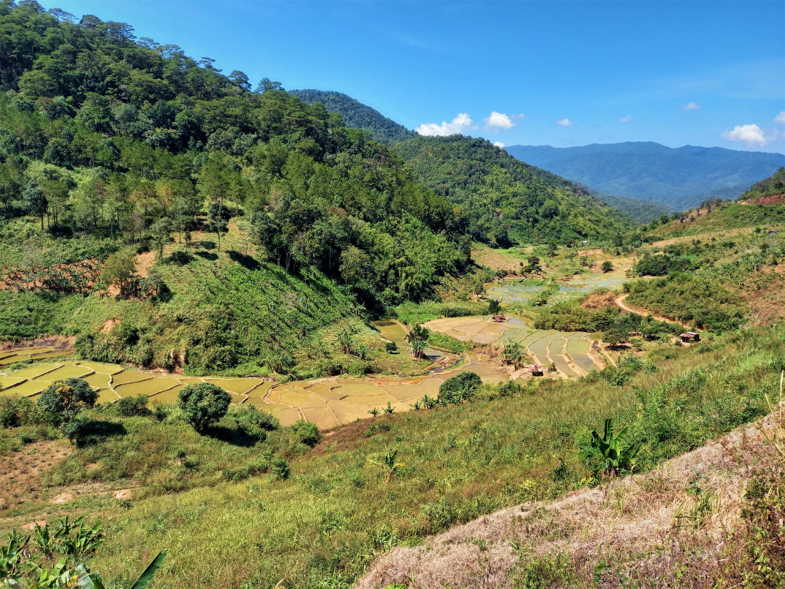 Vietnam Dung Kno – Kaffeefarm Panorama mit Berglandschaft und Reisfeldern Herkunftsfoto bei 19grams