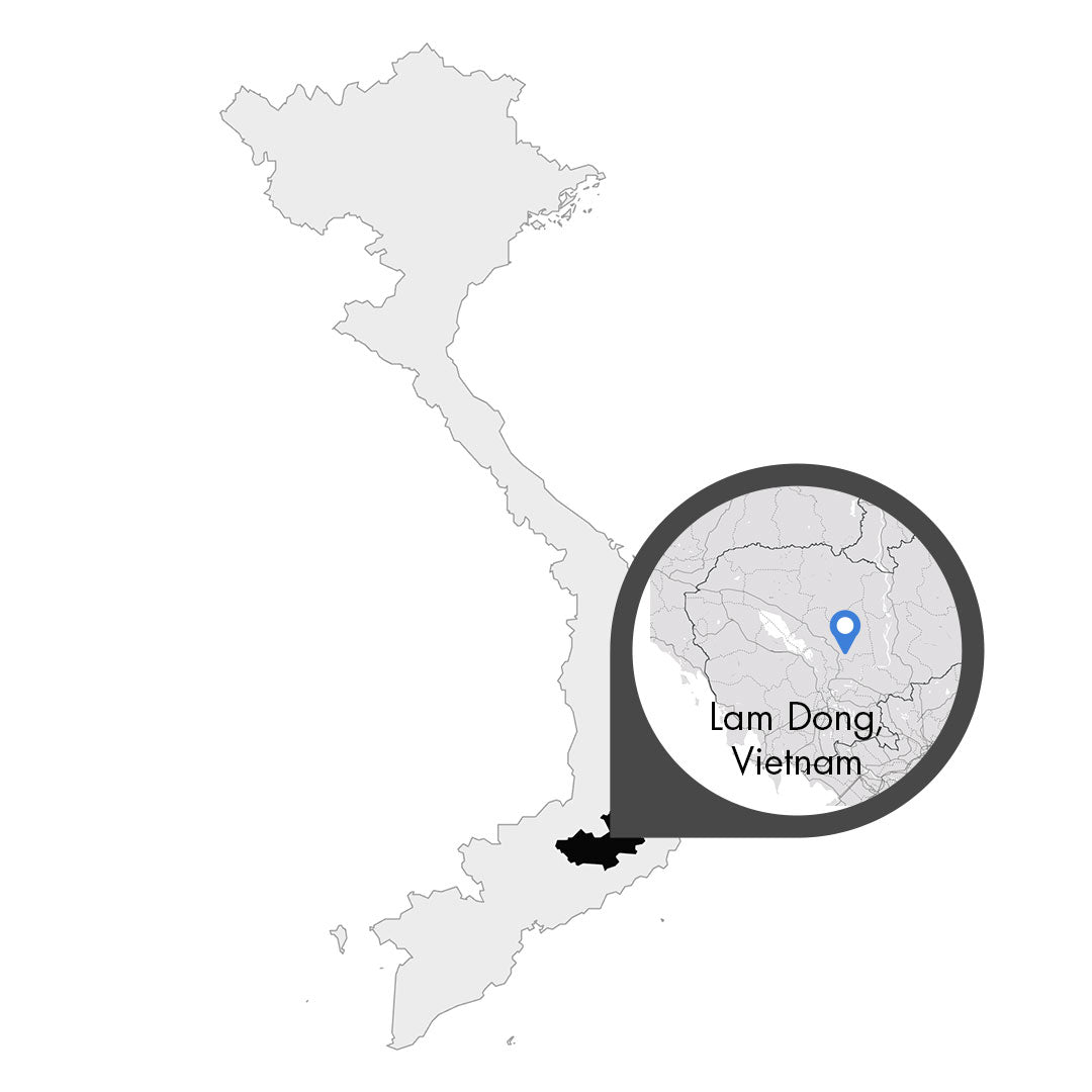 Vietnam Lam Dong – Kaffeeplantage Specialty Coffee Herkunftsfoto