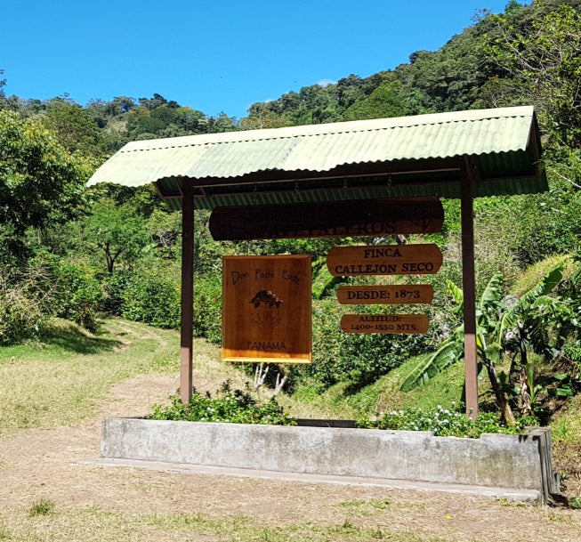 Don Pachi Eingang