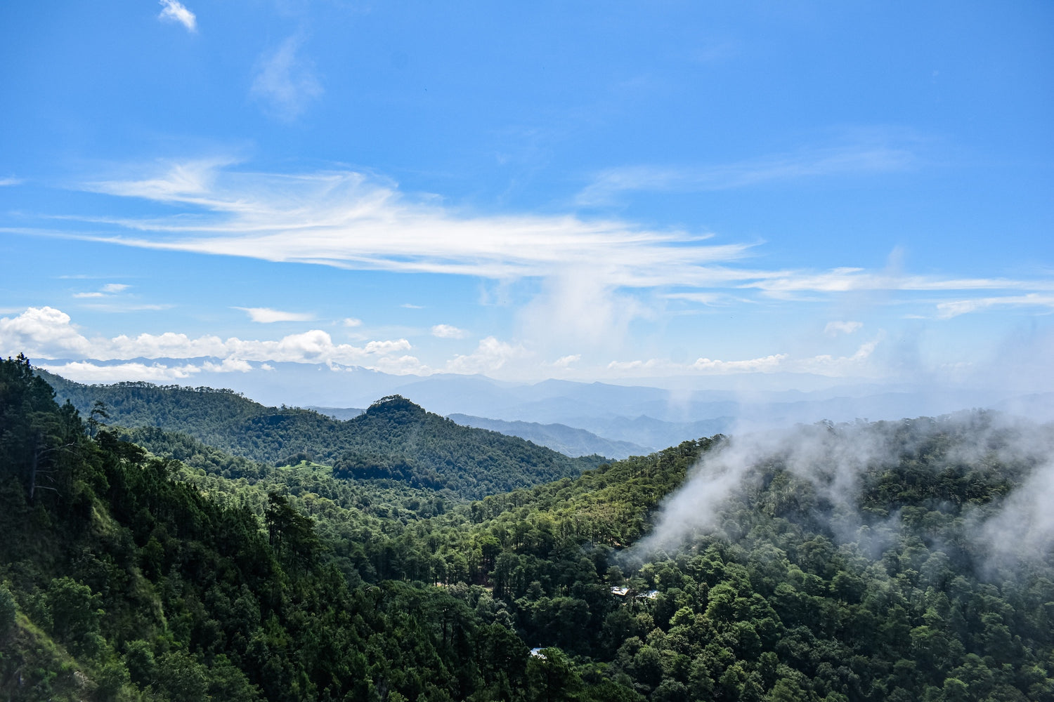 El salvador Jungle