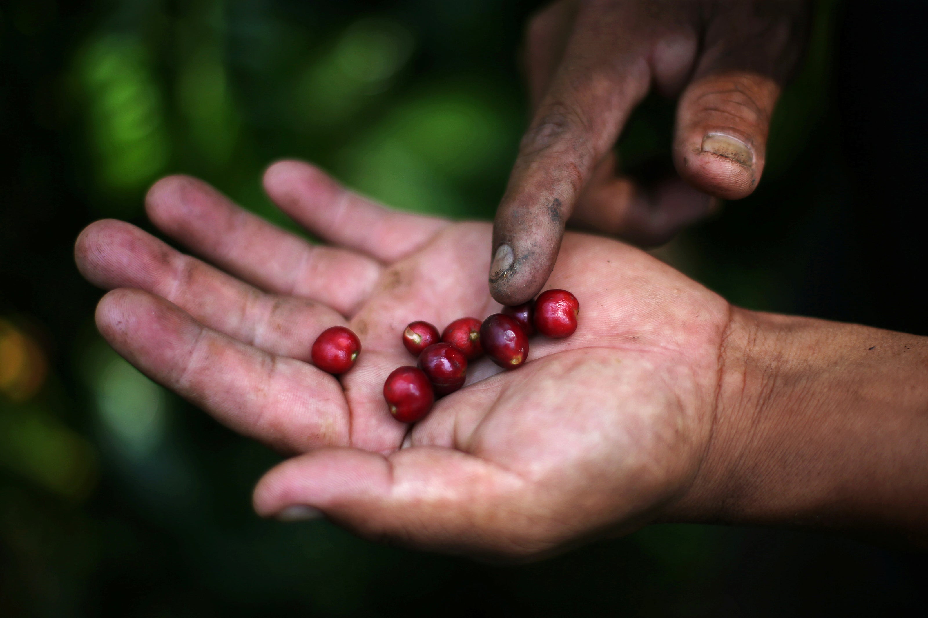 Panama