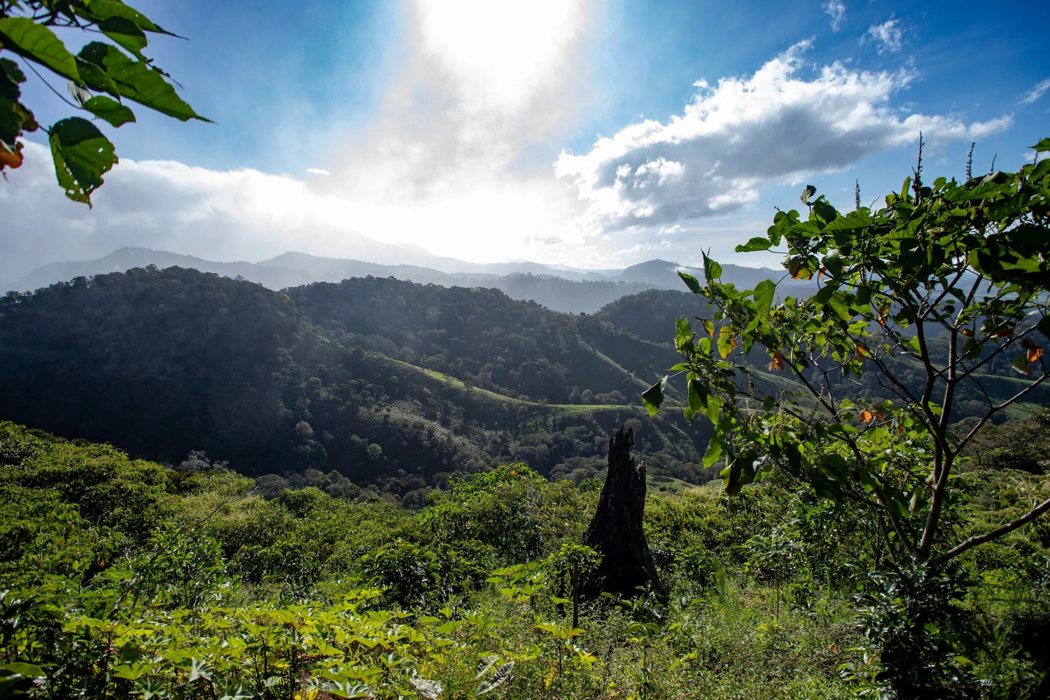 Die Landschaft von Panama
