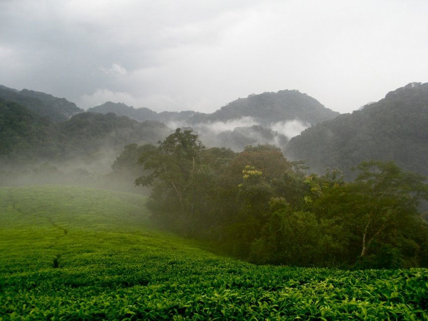 Berge in Ruanda