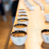19grams Cupping Cups hintereinader aufgreiht